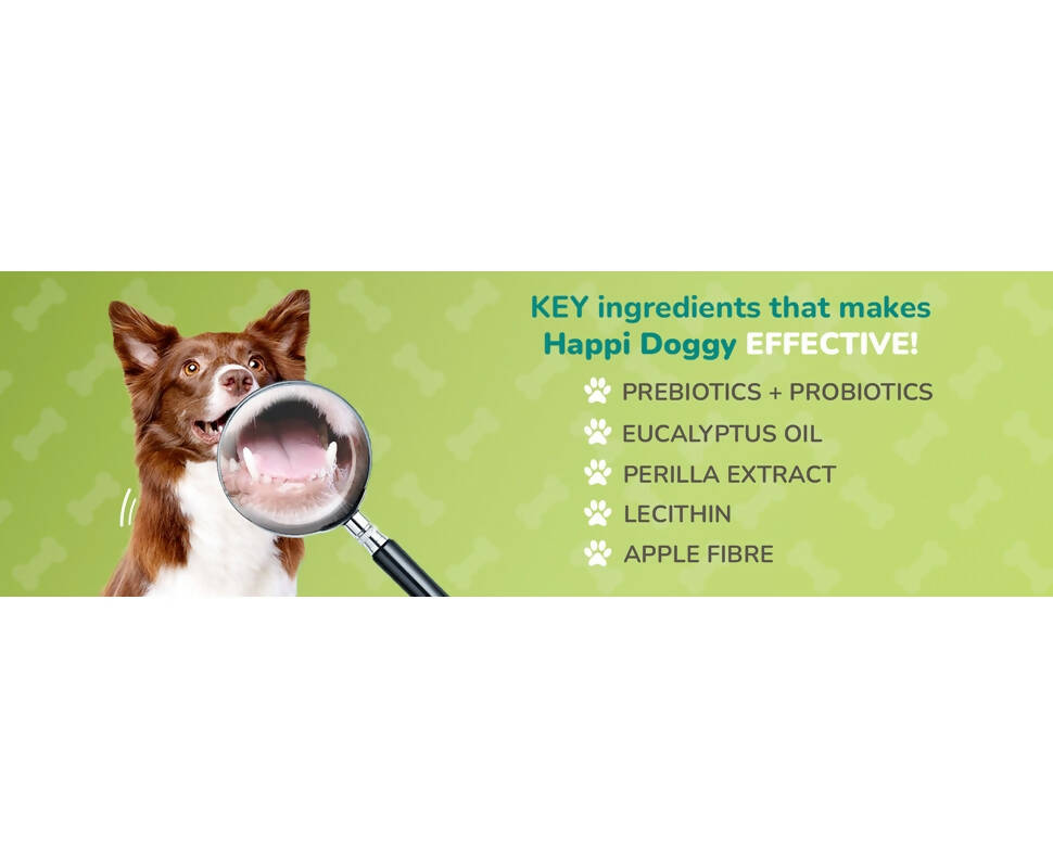 https://cdn.shopify.com/s/files/1/1857/6931/products/n9wMiD6Omx.jpg?v=1662449080