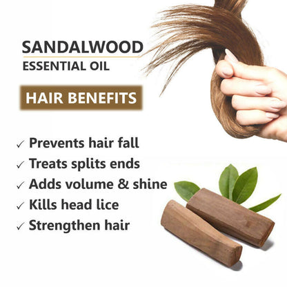 https://cdn.shopify.com/s/files/1/1857/6931/files/nAZ2ppHZxh.jpg?v=1731580600