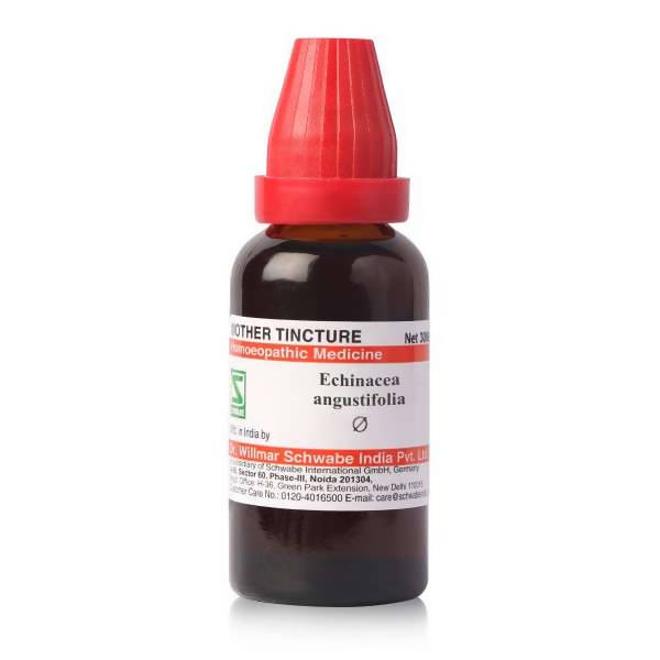 https://cdn.shopify.com/s/files/1/1857/6931/products/nBFf7amlu2.jpg?v=1634110606