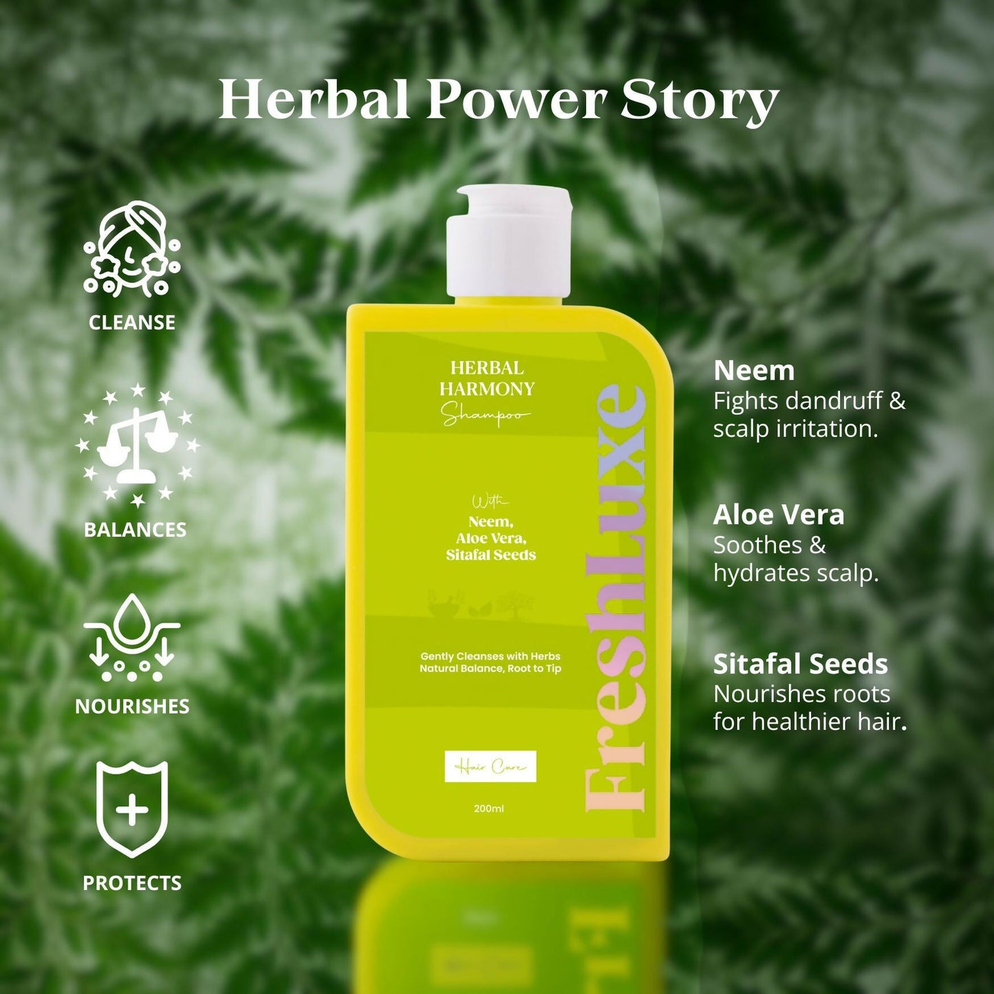 https://cdn.shopify.com/s/files/1/1857/6931/files/nBmGEnW2fV.jpg?v=1759316647