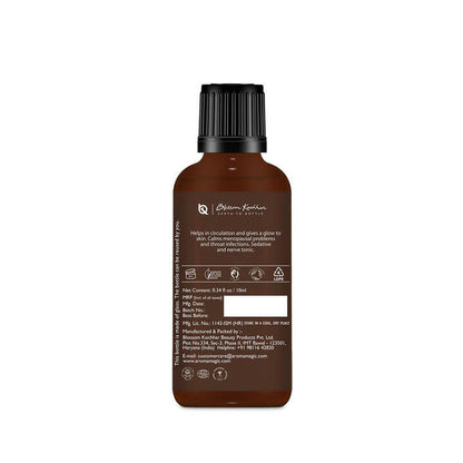 https://cdn.shopify.com/s/files/1/1857/6931/products/nDBhlrsNsh.jpg?v=1677741788