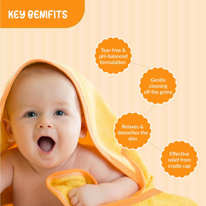 https://cdn.shopify.com/s/files/1/1857/6931/files/nFAxErrX0X.jpg?v=1742013955