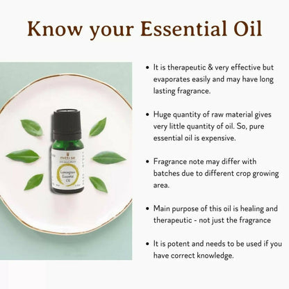https://cdn.shopify.com/s/files/1/1857/6931/products/nK5kHXhcX1.jpg?v=1670583112