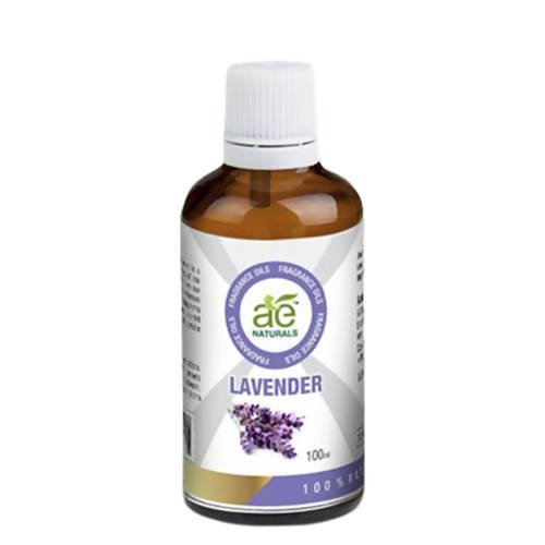 https://cdn.shopify.com/s/files/1/1857/6931/files/nM2ZKyADtL-517764.jpg?v=1736143804