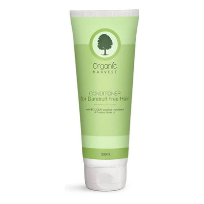 https://cdn.shopify.com/s/files/1/1857/6931/products/nMtkRQjyIP.jpg?v=1762281184