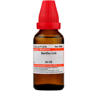 https://cdn.shopify.com/s/files/1/1857/6931/products/nQRAeowP6s-removebg-preview.png?v=1632914120