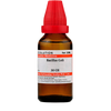 https://cdn.shopify.com/s/files/1/1857/6931/products/nQRAeowP6s-removebg-preview.png?v=1632914120