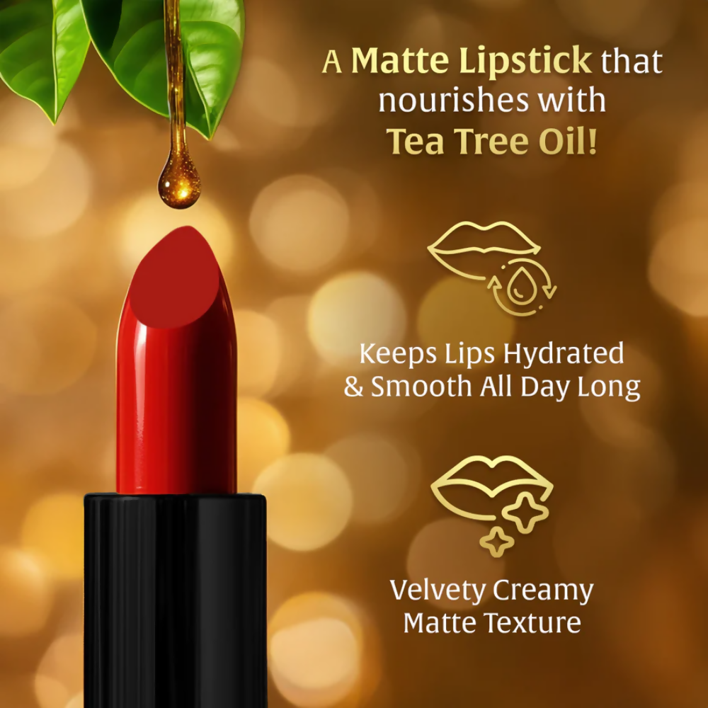 https://cdn.shopify.com/s/files/1/1857/6931/files/nVC32am3Bi.png?v=1770807457