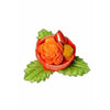 https://cdn.shopify.com/s/files/1/1857/6931/products/nVMkqKkV3b.jpg?v=1620003481