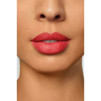 https://cdn.shopify.com/s/files/1/1857/6931/files/nX3MPc3eJ6.png?v=1752690429