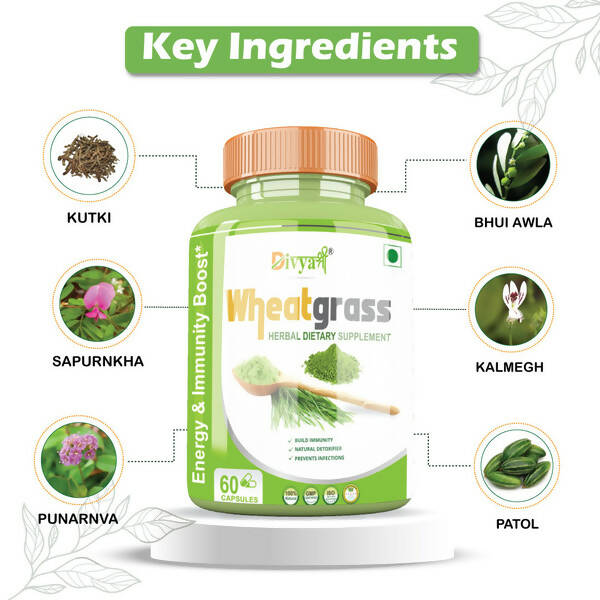 https://cdn.shopify.com/s/files/1/1857/6931/products/nY8D434xxD.jpg?v=1672209899