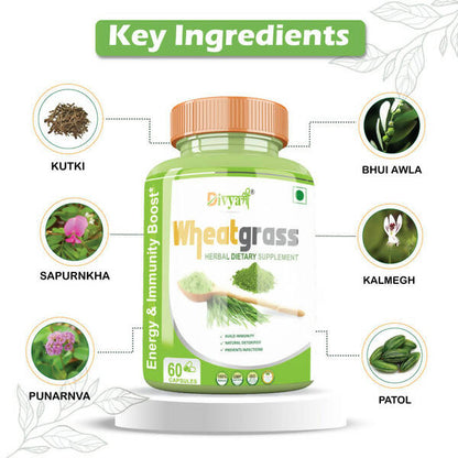 https://cdn.shopify.com/s/files/1/1857/6931/products/nY8D434xxD.jpg?v=1672209899