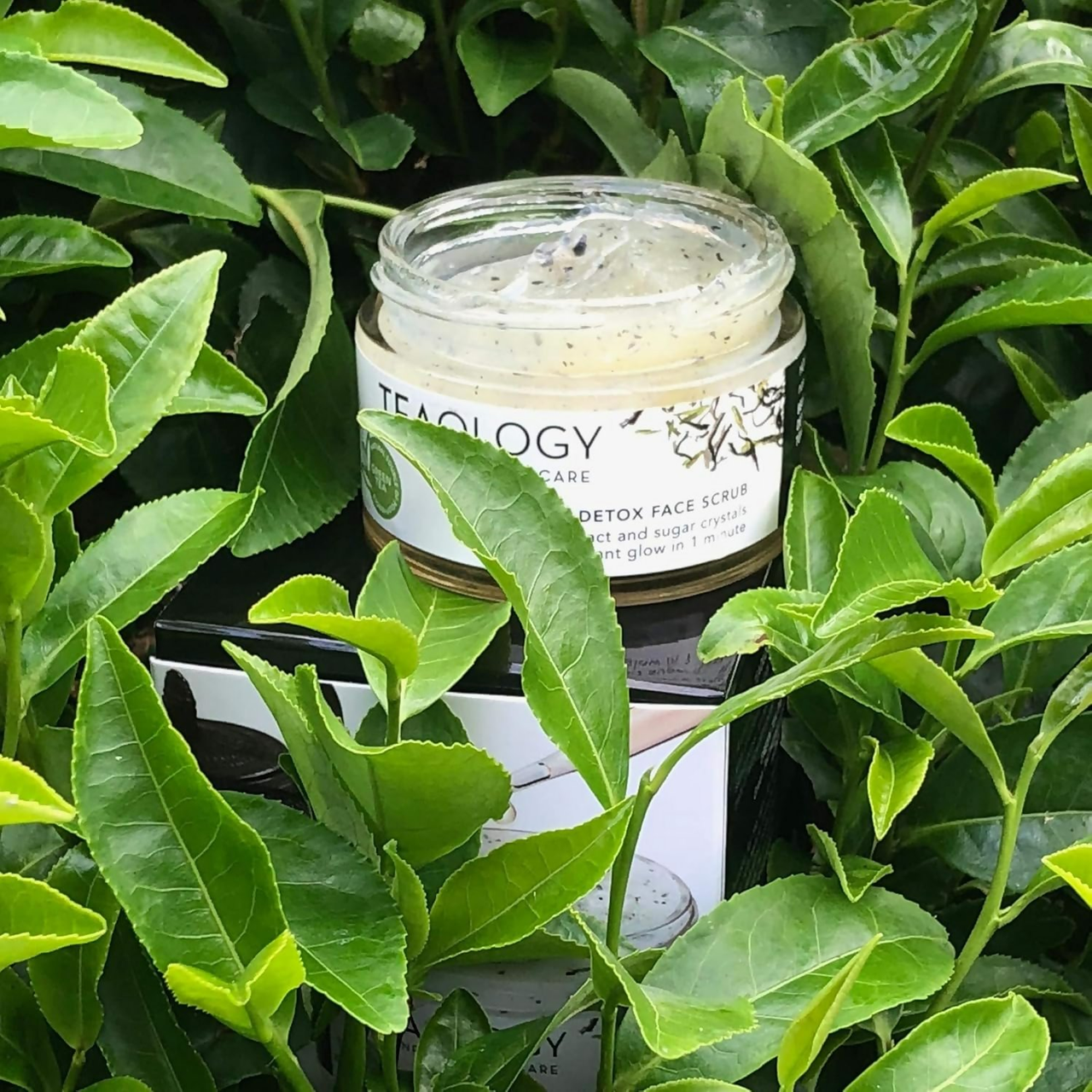 https://cdn.shopify.com/s/files/1/1857/6931/files/nZNM2zKhDQ.png?v=1752682344