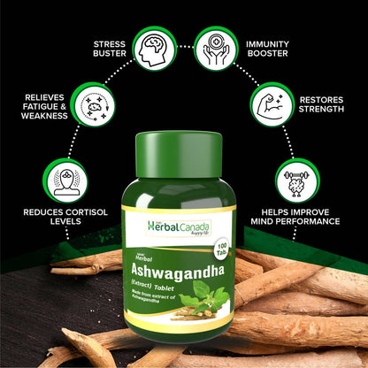 https://cdn.shopify.com/s/files/1/1857/6931/products/natYnXIZNw.jpg?v=1702126812