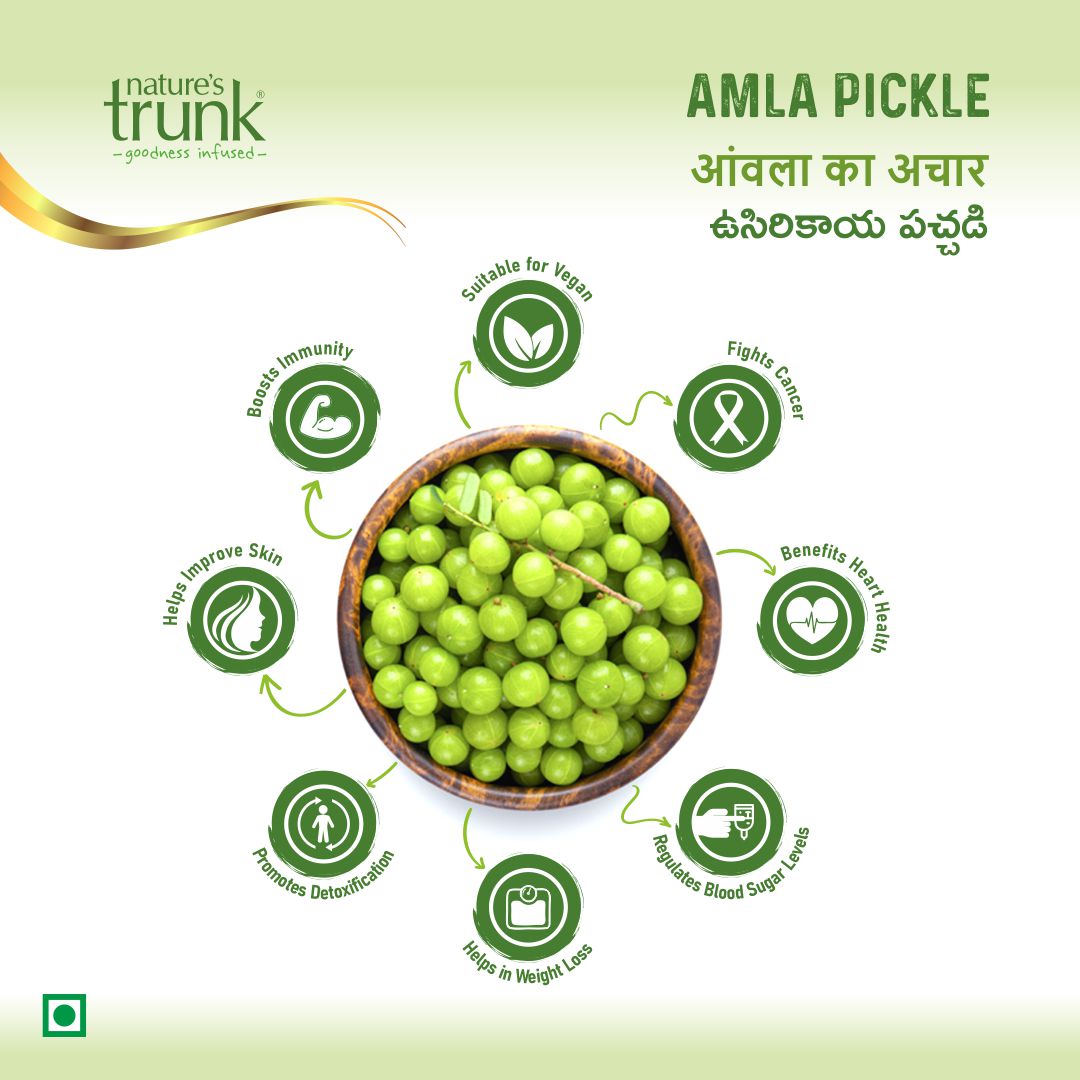 https://cdn.shopify.com/s/files/1/1857/6931/files/nature-s-trunk-pickle-s-amla-pickle-5.jpg?v=1765859093