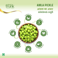 https://cdn.shopify.com/s/files/1/1857/6931/files/nature-s-trunk-pickle-s-amla-pickle-5.jpg?v=1765859093