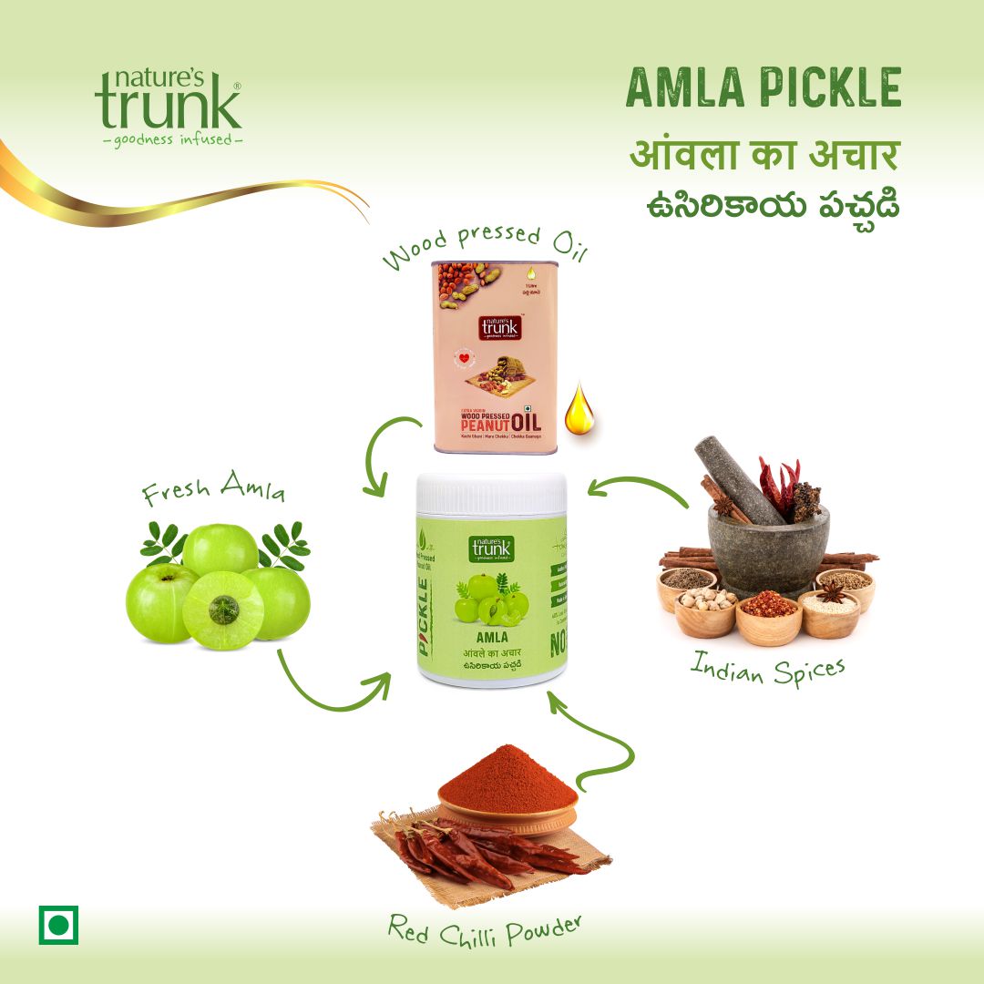 https://cdn.shopify.com/s/files/1/1857/6931/files/nature-s-trunk-pickle-s-amla-pickle-6.jpg?v=1765859093