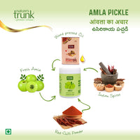 https://cdn.shopify.com/s/files/1/1857/6931/files/nature-s-trunk-pickle-s-amla-pickle-6.jpg?v=1765859093