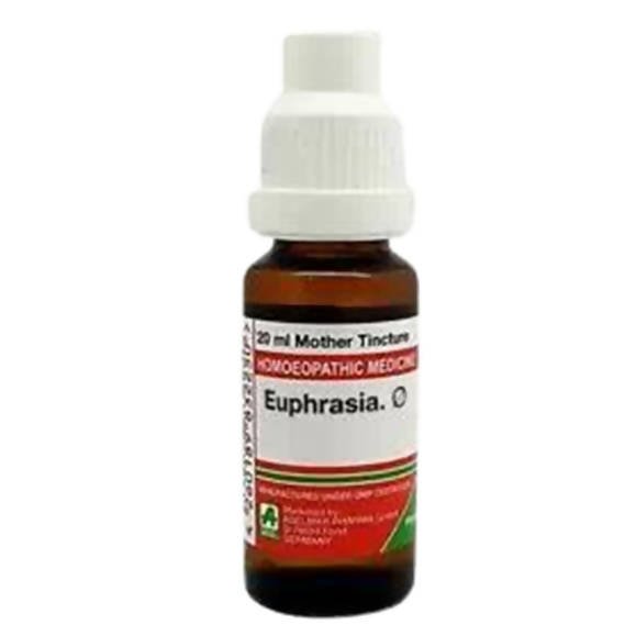 https://cdn.shopify.com/s/files/1/1857/6931/files/nbT0PPpbRw-363435.jpg?v=1759312438