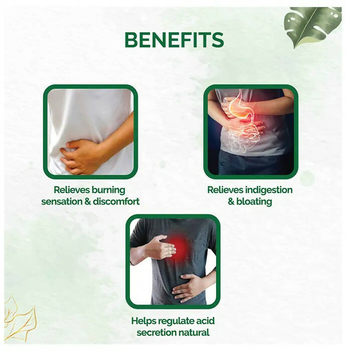https://cdn.shopify.com/s/files/1/1857/6931/products/nhFSQDDP2J.jpg?v=1670491079