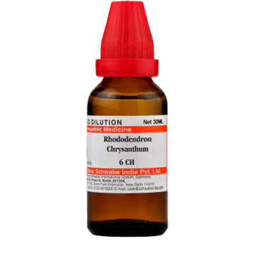 https://cdn.shopify.com/s/files/1/1857/6931/products/nmSVGVkxB6.jpg?v=1620357174
