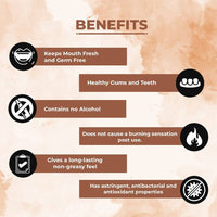 https://cdn.shopify.com/s/files/1/1857/6931/files/nnqXxaZtGl-620507.jpg?v=1736143806