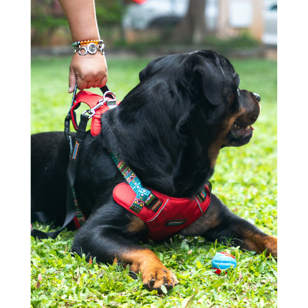 https://cdn.shopify.com/s/files/1/1857/6931/files/nskNPF6xMA.jpg?v=1784295458