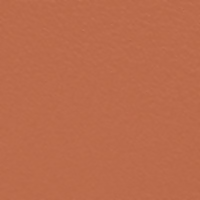 https://cdn.shopify.com/s/files/1/1857/6931/files/ntAcHXUgtD.png?v=1738232971