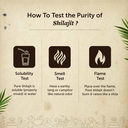 https://cdn.shopify.com/s/files/1/1857/6931/products/nu1f8DBBQd.jpg?v=1693827685