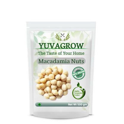 https://cdn.shopify.com/s/files/1/1857/6931/files/nuts.jpg?v=1694436738