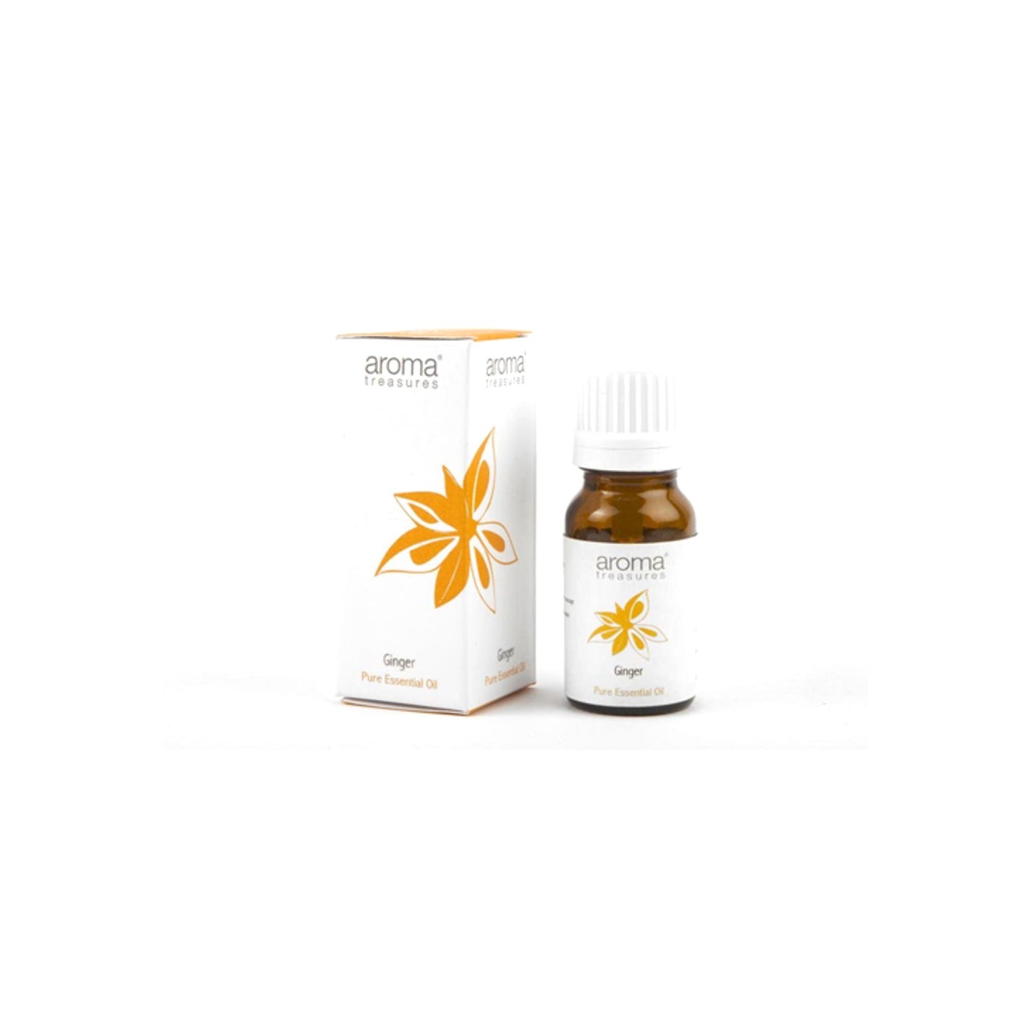 https://cdn.shopify.com/s/files/1/1857/6931/files/nyaromatre008.jpg?v=1770104437