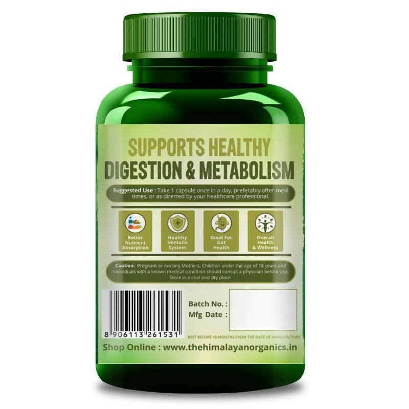 https://cdn.shopify.com/s/files/1/1857/6931/products/nzV1F3GNgm.jpg?v=1695277512