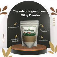 https://cdn.shopify.com/s/files/1/1857/6931/files/o1NVHw7hEg.png?v=1735367529