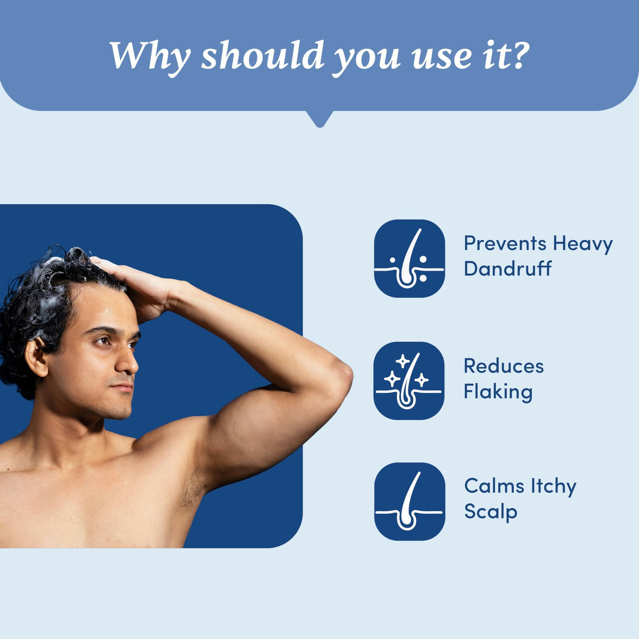 https://cdn.shopify.com/s/files/1/1857/6931/files/o2iPxcdHPA.jpg?v=1723615817