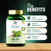 https://cdn.shopify.com/s/files/1/1857/6931/products/o5EXWNhXPs.jpg?v=1683805680