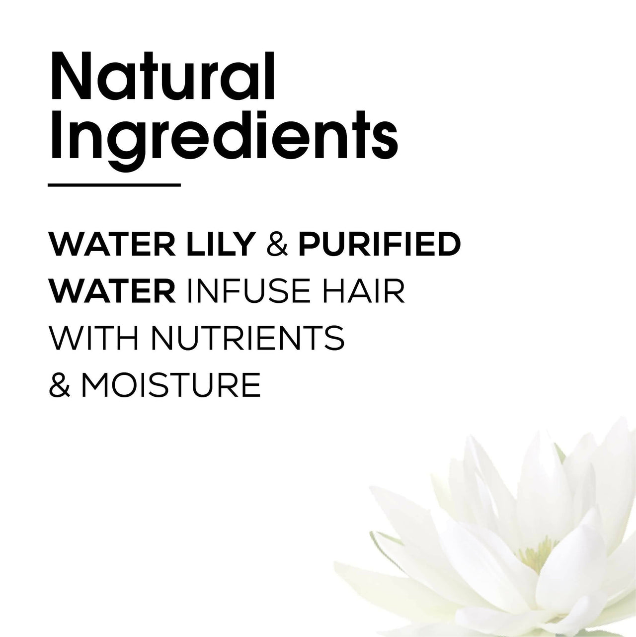 https://cdn.shopify.com/s/files/1/1857/6931/products/o7mm3GGpCU.jpg?v=1678882922
