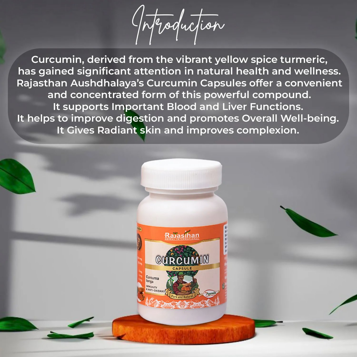 https://cdn.shopify.com/s/files/1/1857/6931/files/o9pAja44G0.png?v=1760511878
