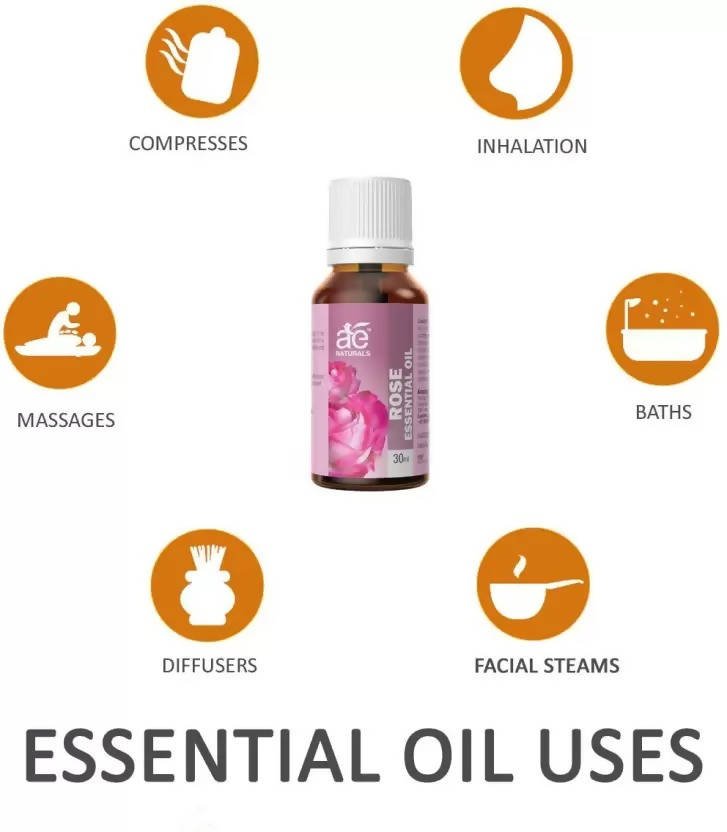 https://cdn.shopify.com/s/files/1/1857/6931/files/oBBJML2T4H-676159.jpg?v=1736143865