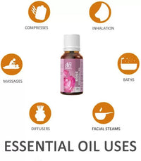 https://cdn.shopify.com/s/files/1/1857/6931/files/oBBJML2T4H-676159.jpg?v=1736143865