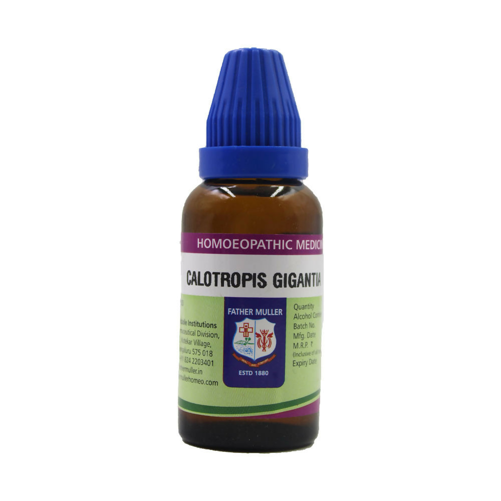 https://cdn.shopify.com/s/files/1/1857/6931/files/oDWq2CDKnk.jpg?v=1718283092