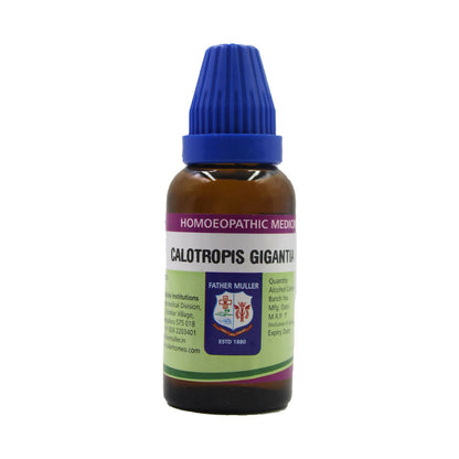 https://cdn.shopify.com/s/files/1/1857/6931/files/oDWq2CDKnk.jpg?v=1718283092