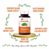 https://cdn.shopify.com/s/files/1/1857/6931/products/oGM10SBDDS.png?v=1693917923