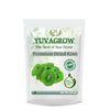 https://cdn.shopify.com/s/files/1/1857/6931/products/oJI5nwr3aq.jpg?v=1759454636