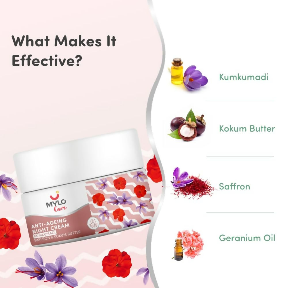 https://cdn.shopify.com/s/files/1/1857/6931/files/oKrIuV4PsC.png?v=1737952123