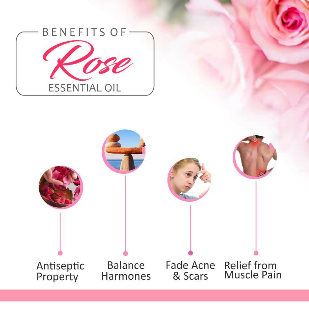 https://cdn.shopify.com/s/files/1/1857/6931/products/oKwXlZxUV1.jpg?v=1682760856