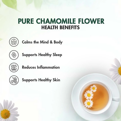 https://cdn.shopify.com/s/files/1/1857/6931/files/oMmYjUA4x0.png?v=1771307879