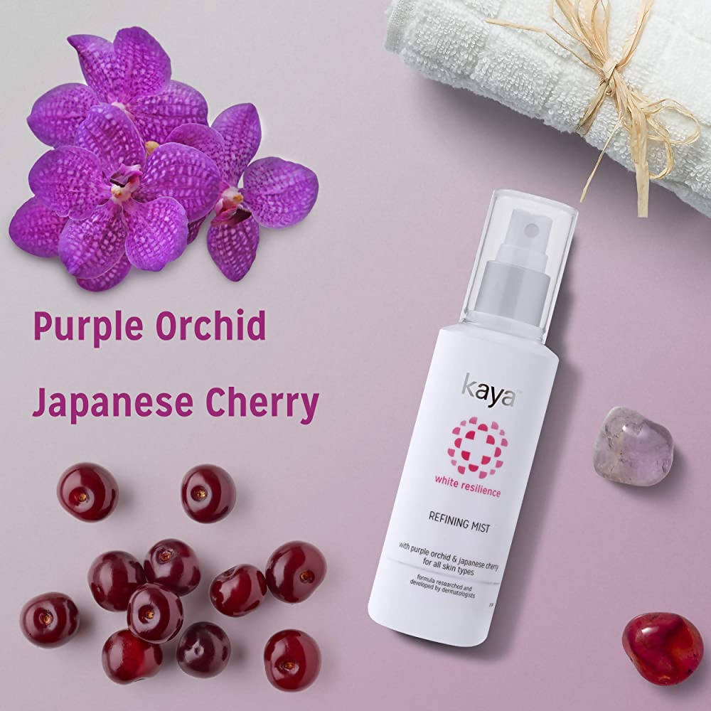 https://cdn.shopify.com/s/files/1/1857/6931/products/oNAJhdj8mk.jpg?v=1641644488