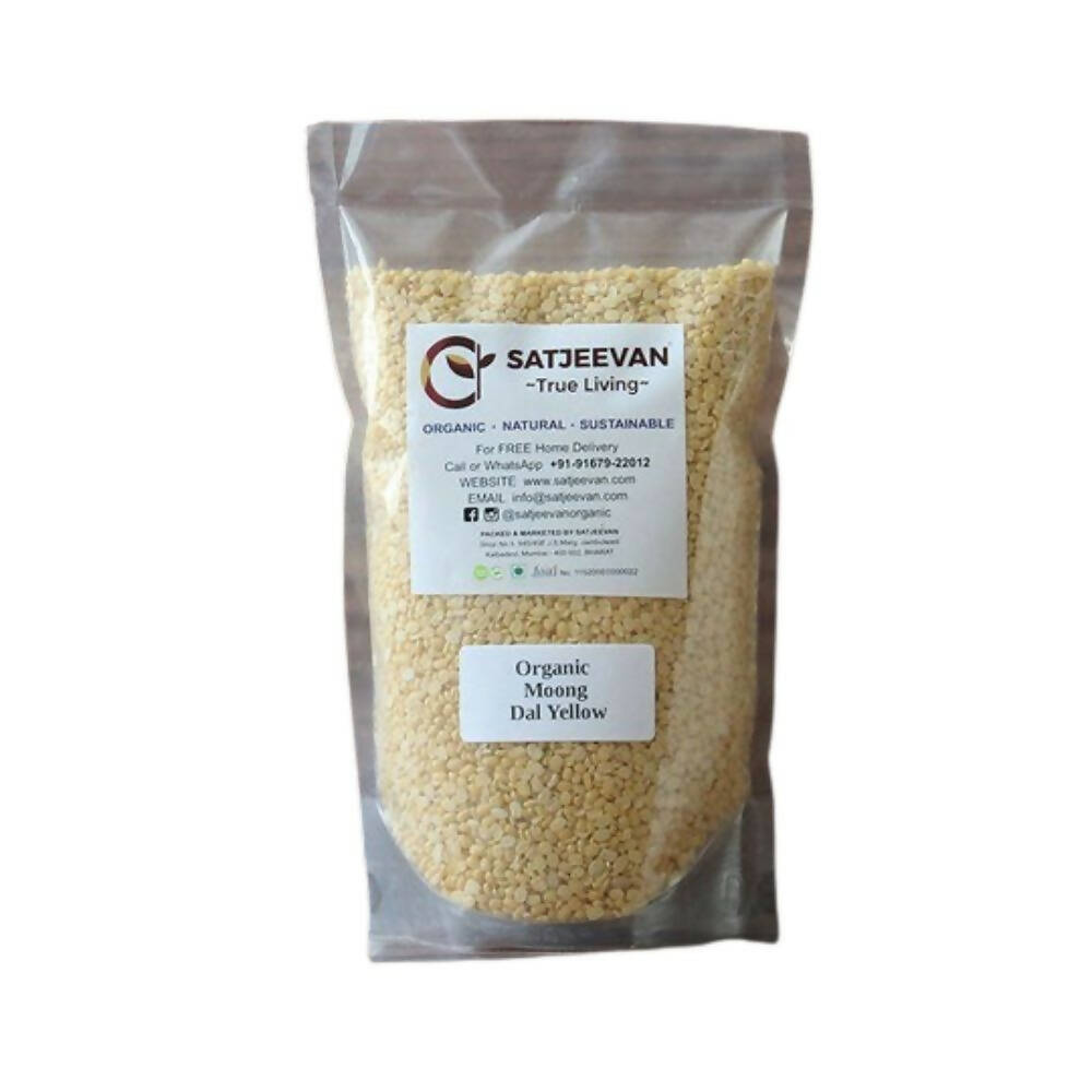 https://cdn.shopify.com/s/files/1/1857/6931/products/oOO38axJYL.jpg?v=1709359084
