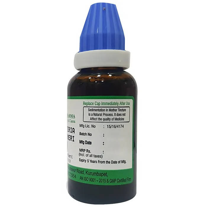 https://cdn.shopify.com/s/files/1/1857/6931/products/oQ1HMFPHz0.jpg?v=1660800381