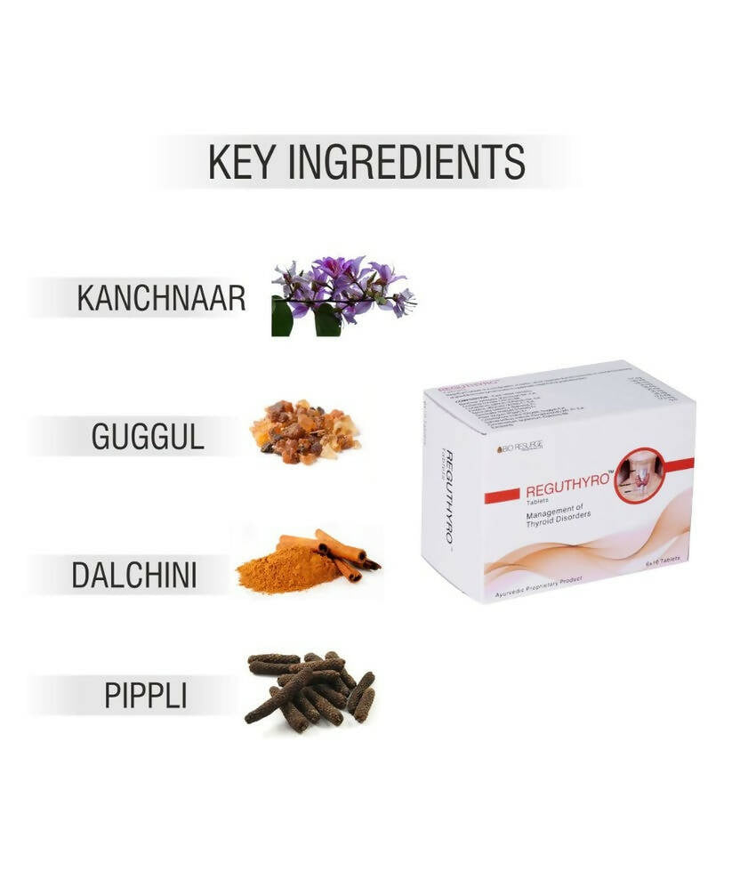 https://cdn.shopify.com/s/files/1/1857/6931/products/oRtUGHWnBW.jpg?v=1697536190